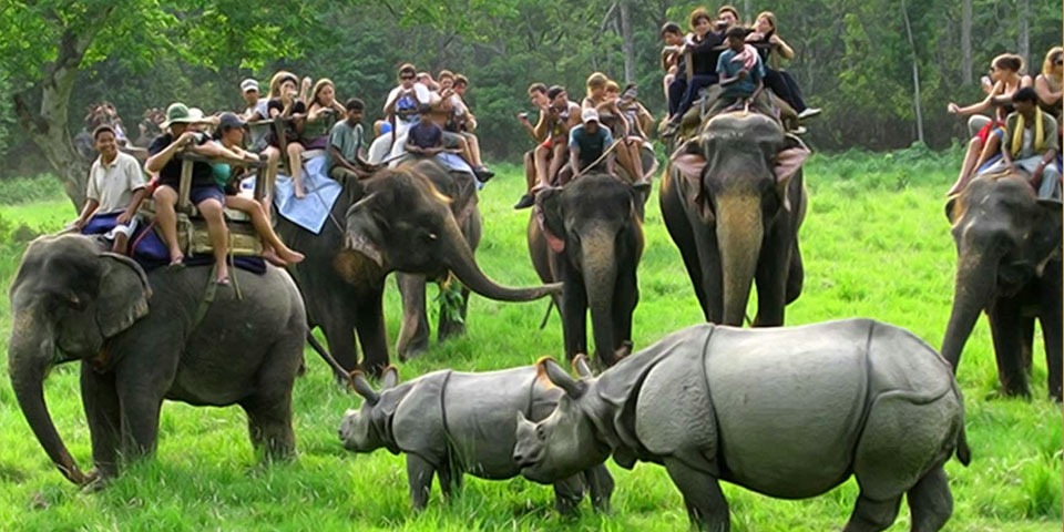 Day 04: Shillong - Kaziranga (325 kms / 6-7 hrs)